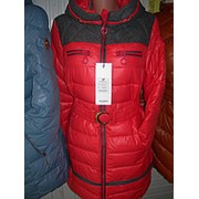 Куртка женская зима 2013/14 Код: серия 7 803