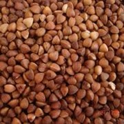 Крупа гречневая фото