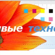 Печать трафаретная: визитки, конверты, бланки, папки фото