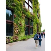 Ландшафтный дизайн от Патоля : вертикальные сады и водоемы на стенах фото