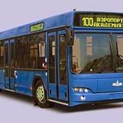 Автобус городской МАЗ-103