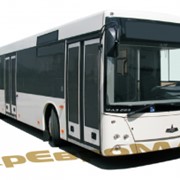 Автобус маз- 203069 и маз-203068 фото