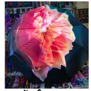 Зонт автомат женский с рисунком цветы оранжевая роза фото