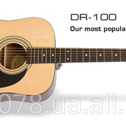 Акустическая гитара EPIPHONE DR-100 NT фото