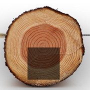 Брус деревянный сосновый, любой размер длиной 4,5м и 6м. Товар от производителя!