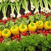 Мясопродукты глубокой заморозки фото