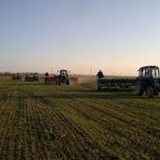 Услуги по обработке почвы фото