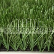 Искусственная трава Edel Grass