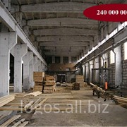 Деревоперерабатывающее предприятие на острове фото