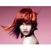 Фитокомплекс для Рыжих волос ​ - 1 л. фото