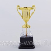 Кубок YK013 (пластик, металл, h-19,5см, d чаши-5см, золото) фото