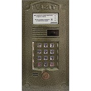 БВД-321RCP Блок вызова домофона (для совместной работы с БУД-302М, БУД-302К-20, БУД-302К-80) VIZIT