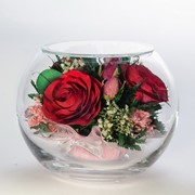 Роза в стекле tm FIORA BS-Rr1-33803