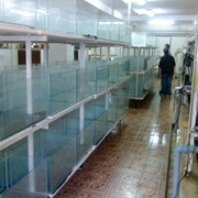 Обслуживание бассейнов фото
