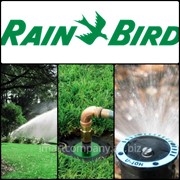Спринклеры и контроллеры Rain Bird -система автоматического полива фото