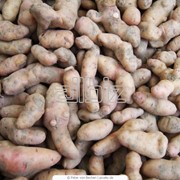 Картофель посадочный,картошка Черниговская область,Украина, купить, продажа