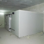 Холодильные камеры для хранения рыбы