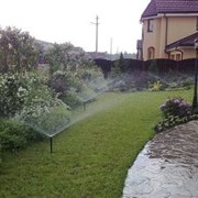 Система автоматического полива фото