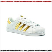 Кеды Adidas SuperStar White | Скидки при заказе | фото