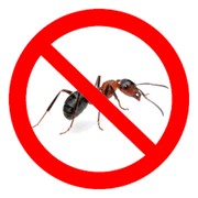 Глобал, средство от тараканов и муравьев, 40 г фотография