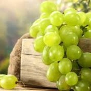 Виноград зеленый фото