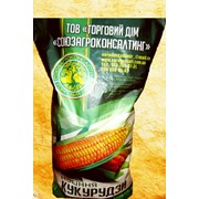 Семена кукурузы МОС 182 СВ фотография