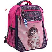Школьный рюкзак 'Отличник' 0058070 розовый с синим кот 2 фото