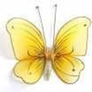 Бабочка средняя насыщенно-желтая 19*13 см фотография