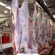 Мясо свинины охлажденное и замороженное фотография