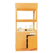 Шкаф вытяжной лабораторный для кабинета химии фото