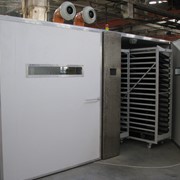 Инкубатор панельный для инкубации и вывода молодняка ИПП/ИПВ фото