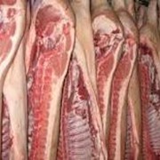 Мясо свинина полутуши фото