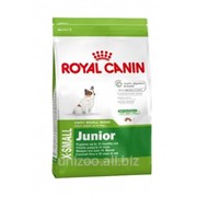 Сухой корм для щенков Royal Canin X-SMALL JUNIOR 1,5 кг фото