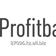 Profitbase фото