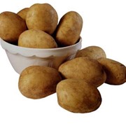 Продукция сельскохозяйственная.Картофель, арбузы, дыни. фото