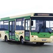 Автобус ПАЗ - 3237