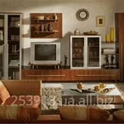 Мебель для гостиной комнаты (13)