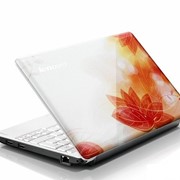 Ноутбук Lenovo IdeaPad S100-N435F (59-308110)