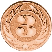 Эмблема “3 место“ 107-50м бронза металл фотография