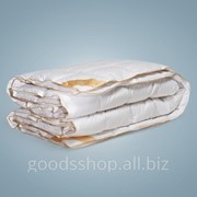 Одеяло Arya Penelope Twin Platin с гусиным пером 195x215 см 1250160