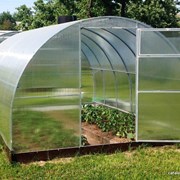 Теплицы Агро, Титан, Сибирская, Престиж, Импласт . Труба оцинкованная 20х20 или 40х20. шаг 1 м и усиленный каркас с шагом 67. Доставка . 1120-25-97 фото