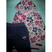 Спортивный костюм для девочки Цветы двойка (Код: С0618) серый красный малиновый фото