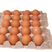 Яйцо куриное пищевое фото