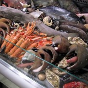 Свежемороженная рыба, морепродукты фото