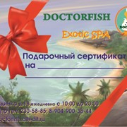 Подарочный сертификат на Экзотический биопилинг рыбками. фото