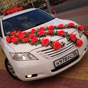 Белая Тойота Камри для облуживания свадеб, торжеств фото