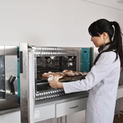 Факультет пищевых производств фото