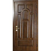 Дверь металлическая с отделкой шпоном фото