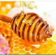 Мед подсолнечниковый