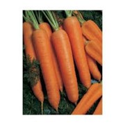 Семена моркови Наполи F1 25000 шт.